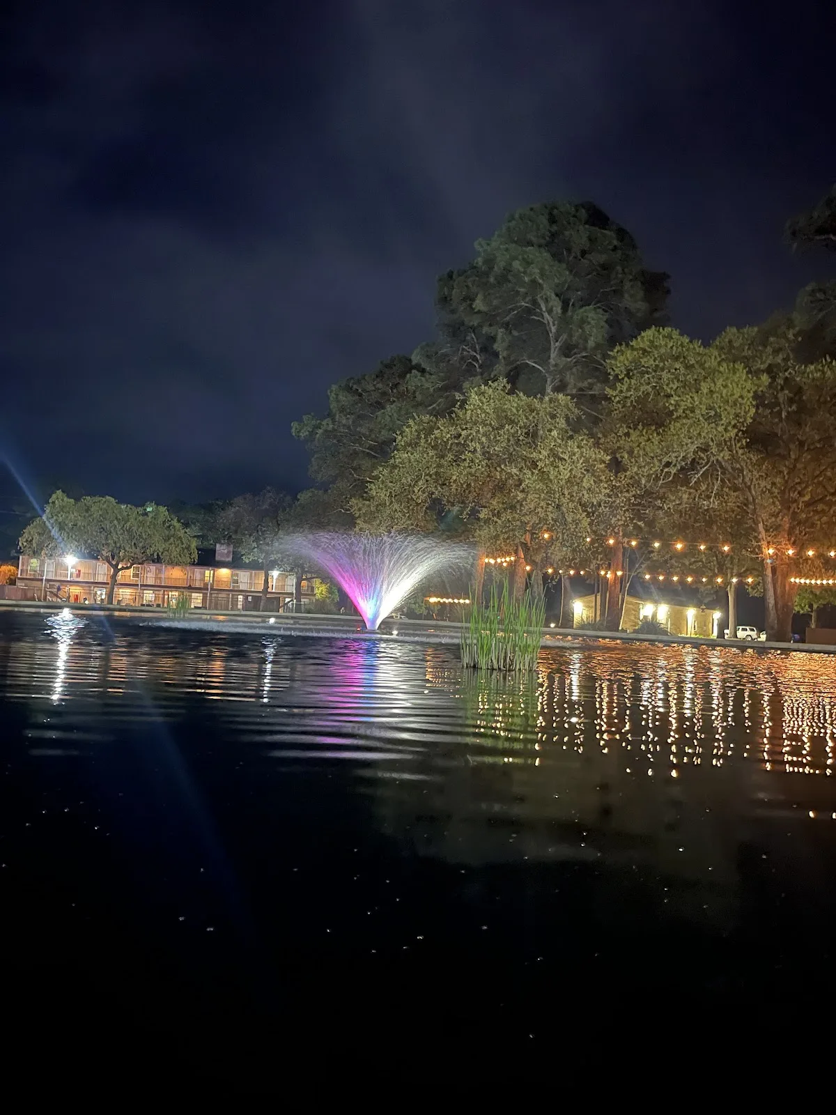 Willow Springs Recovery | Texas Drug & Alcohol Addiction Rehab - Photo 2