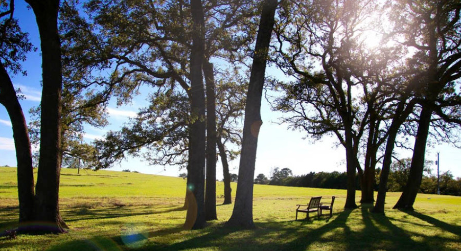 The Last Resort Recovery Center - Photo 6