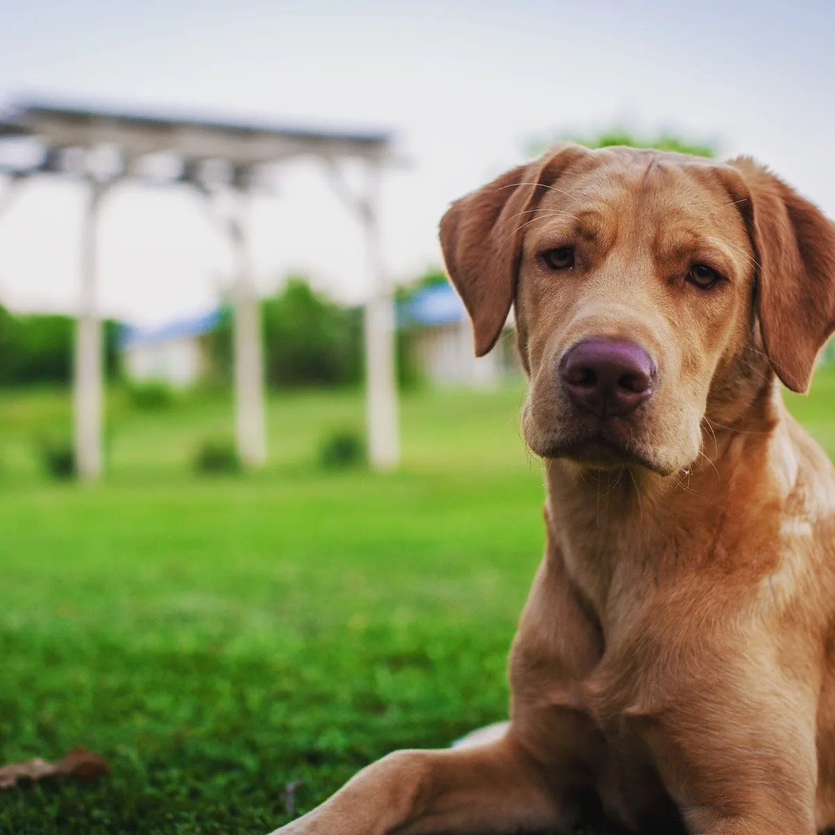 Any Length Retreat Drug & Alcohol Rehab Texas - Photo 4