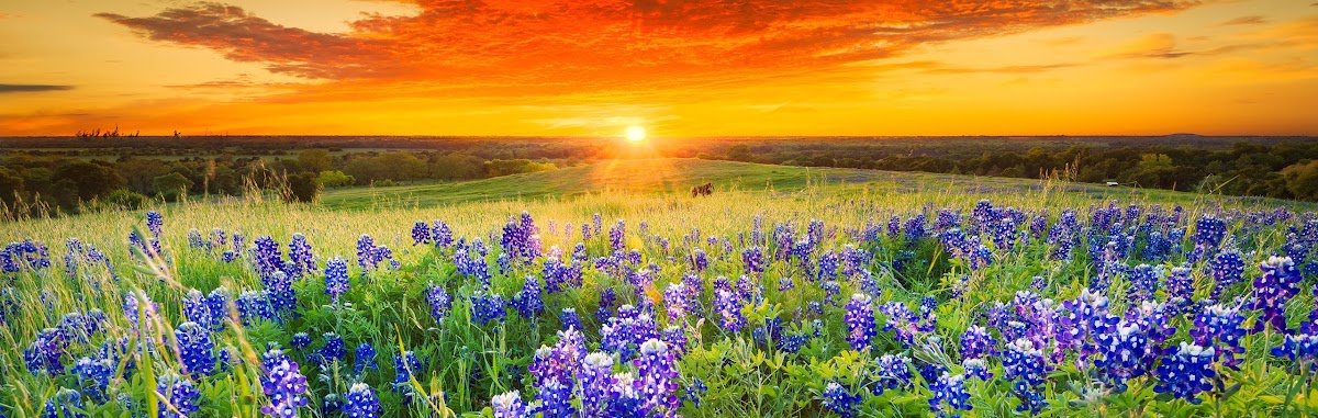 Touchstone Ranch Recovery Center - Photo 6