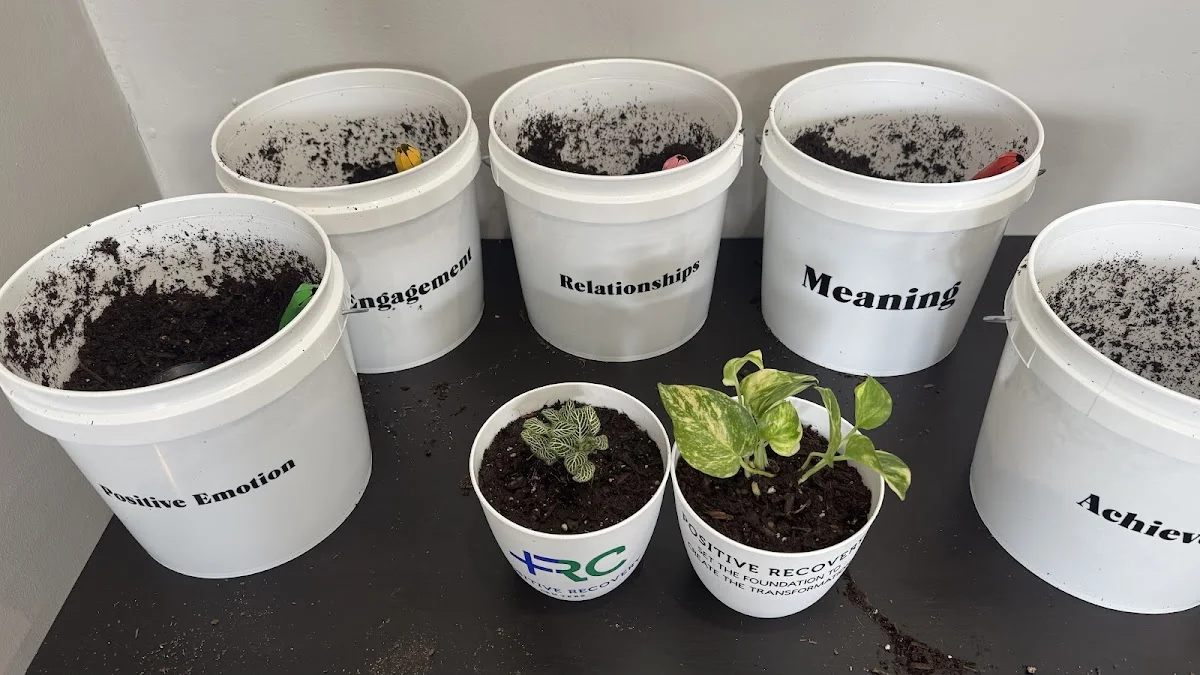 Positive Recovery Centers - Houston, Montrose - Photo 3