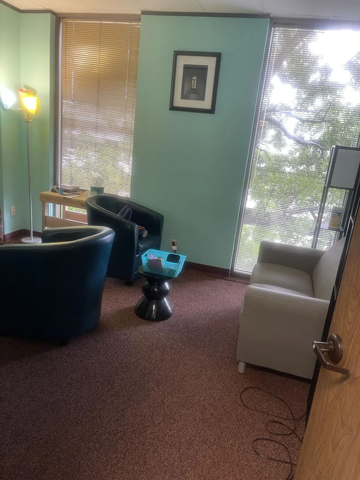 Adaego Recovery - Foto 2