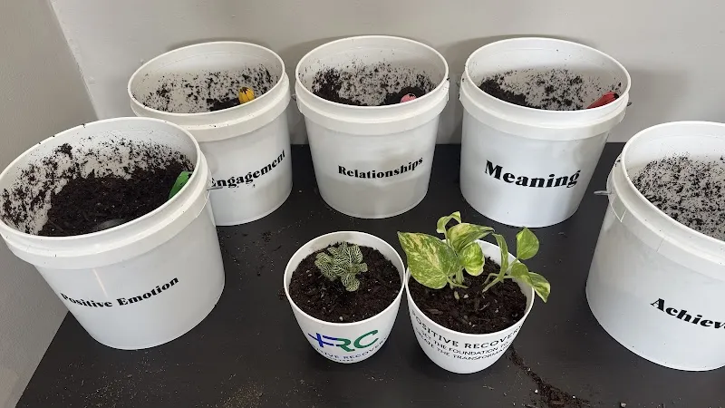 Positive Recovery Centers - Houston, Montrose - Photo 4