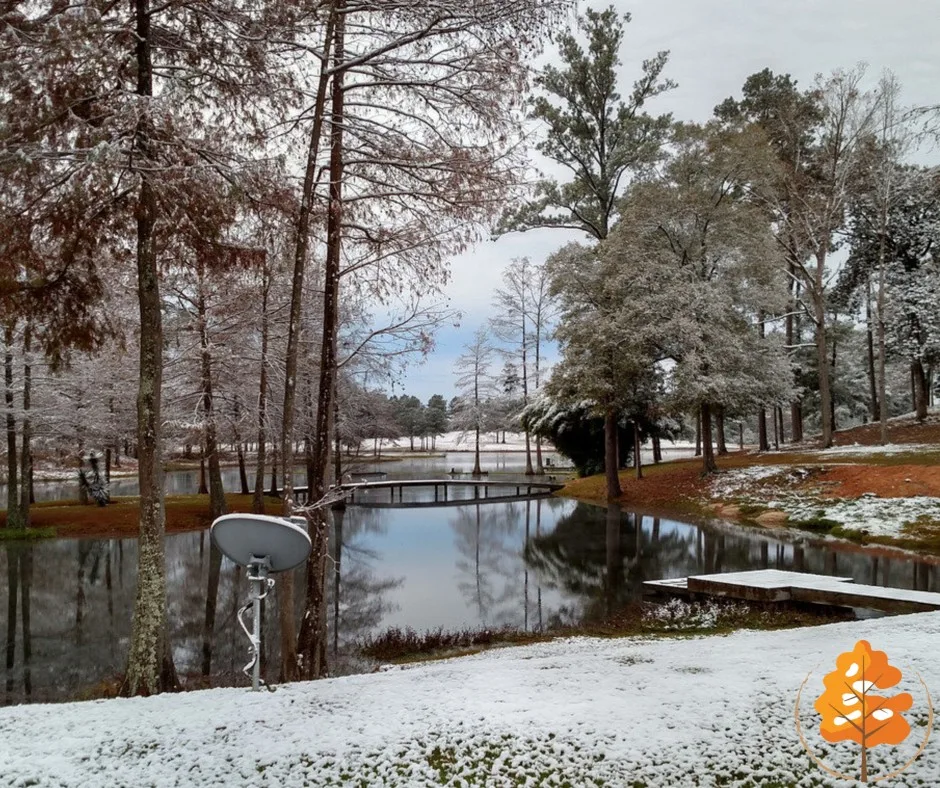 Cypress Lake Recovery - Photo 5