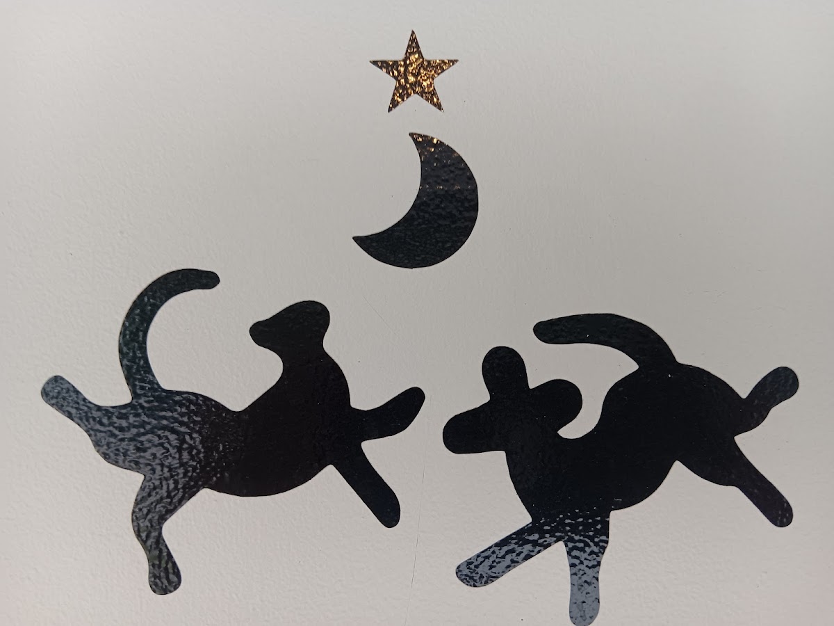 HEROES Clinic (Houston Emergency Opioid Engagement System) - Photo 3