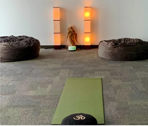 Council on Recovery - Photo 4