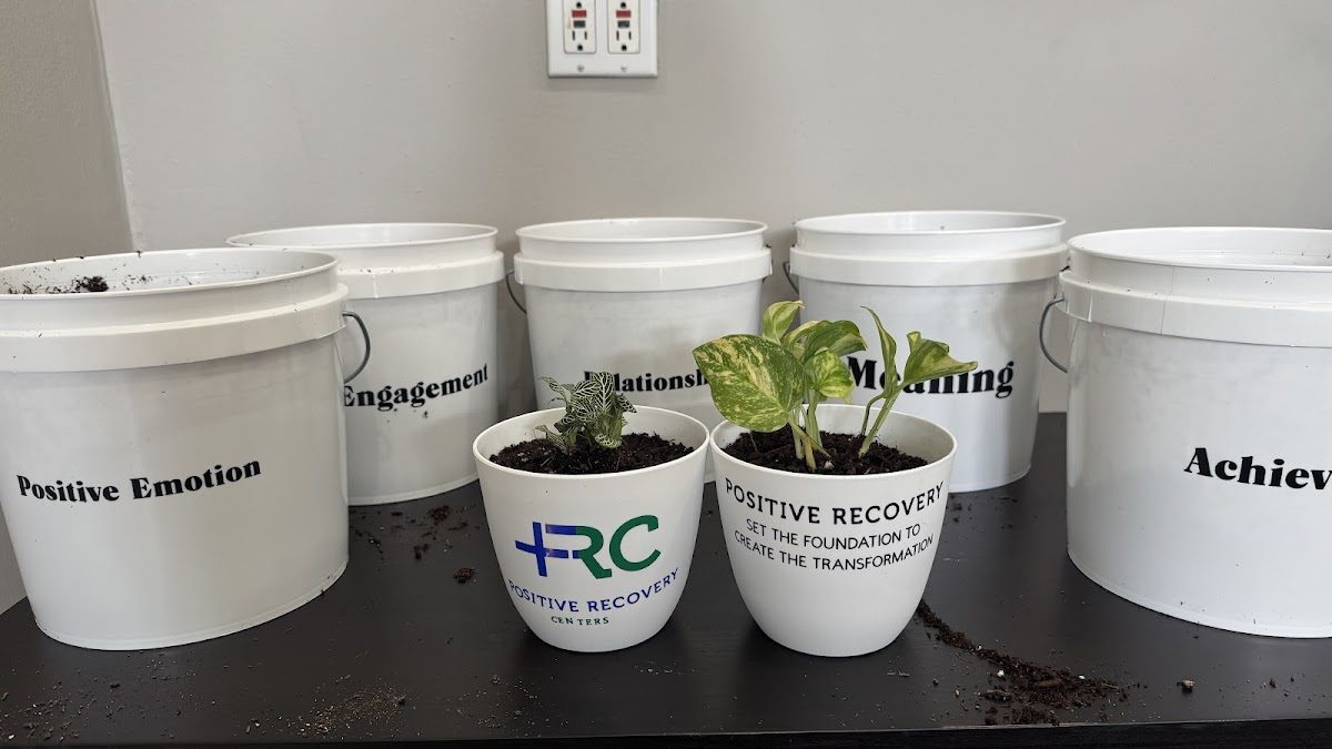 Positive Recovery Centers - Houston, Montrose - Photo 3